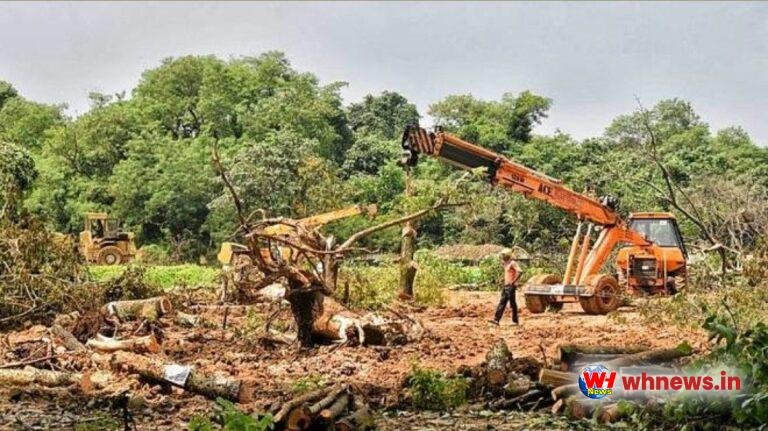 अगली सुनवाई तक 'हैं' में किसी भी पेड़ को न काटें;  सुप्रीम कोर्ट के |  आरे कार शेड समाचार
