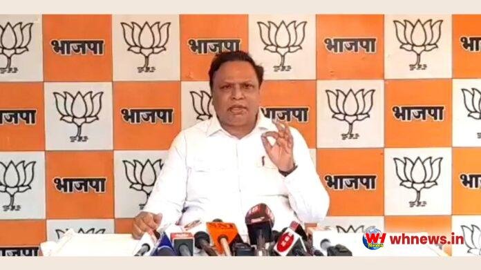 मुंबई से निकाले जाने तक चुप नहीं रहेगी शिवसेना: आशीष शेलारी
