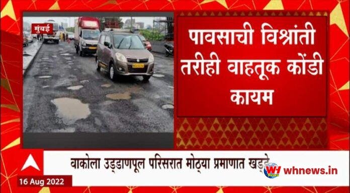 वेस्टर्न एक्सप्रेस हाईवे ट्रैफिक: वेस्टर्न एक्सप्रेस वे पर ट्रैफिक की धीमी रफ्तार, ड्राइवर की दुविधा
