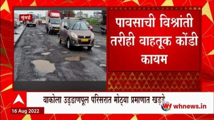 वेस्टर्न एक्सप्रेस हाईवे ट्रैफिक: वेस्टर्न एक्सप्रेस वे पर ट्रैफिक की धीमी रफ्तार, ड्राइवर की दुविधा
