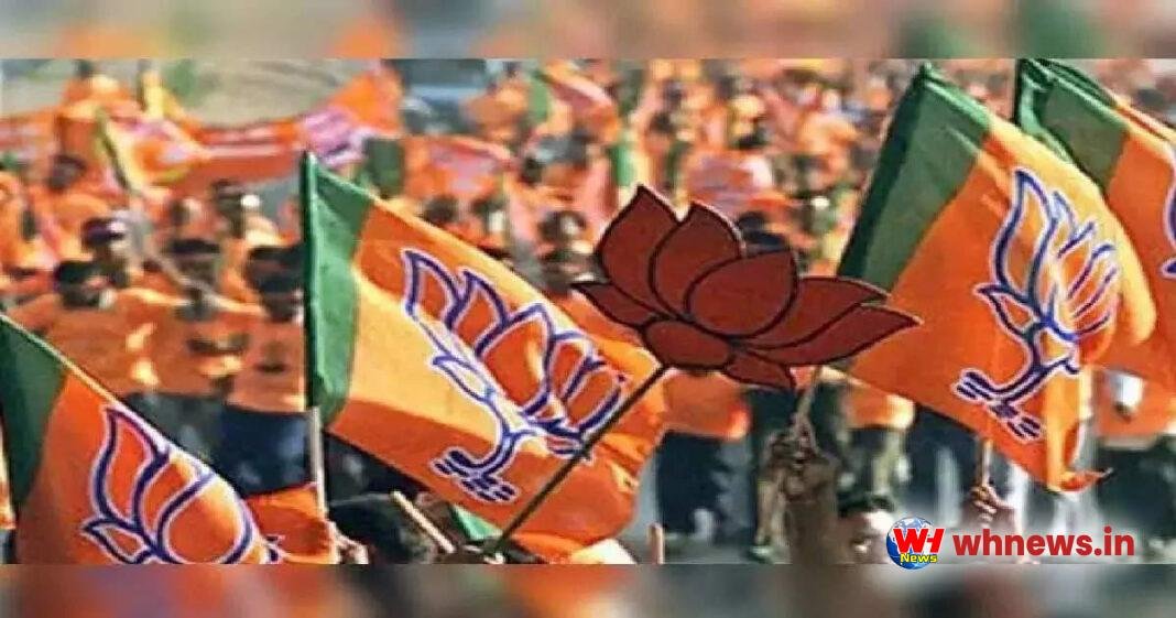 हम सरकार नहीं चला रहे, हम संभाल रहे हैं, आठ-दस महीने से चल रहे हैं, बीजेपी मंत्री का ऑडियो क्लिप 
