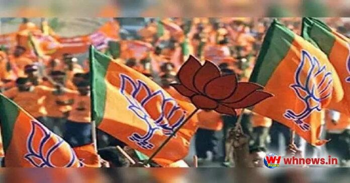 हम सरकार नहीं चला रहे, हम संभाल रहे हैं, आठ-दस हम सरकार नहीं चला रहे, हम संभाल रहे हैं, आठ-दस महीने से चल रहे हैं, बीजेपी मंत्री का ऑडियो क्लिप