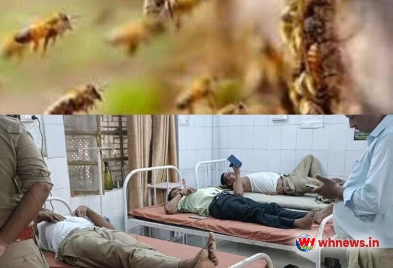 मधुमक्खियों के हमले में 54 दरोगा घायल, 4 गंभीर