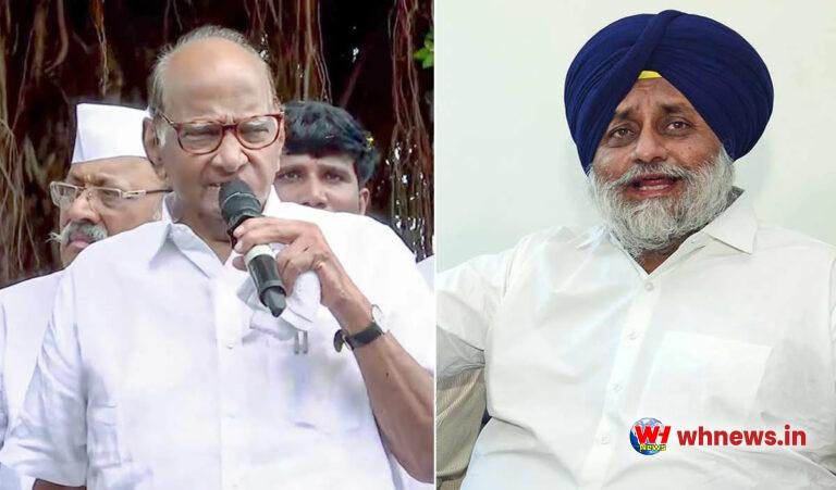 पवार-बादल बढ़ाएंगे मोदी की सियासी ताकत