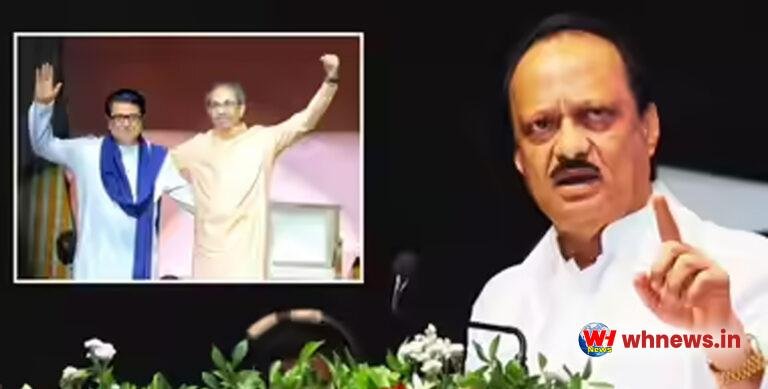 भाषा विवाद पर अजित पवार ने दिया बड़ा बयान