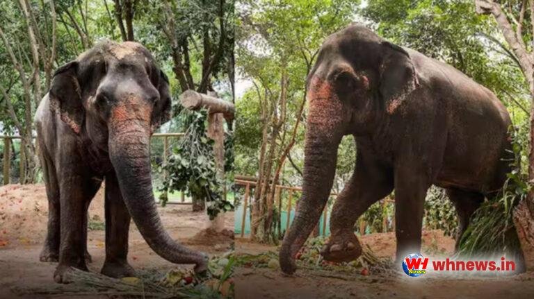 महादेवी के लिए लाखों का ‘घर’ बनाएगा वनतारा