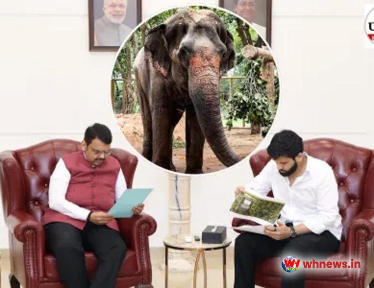 जैन मठ लौटेगी माधुरी हथिनी